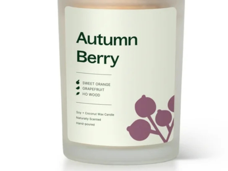 AUTUMN BERRY NATURALLY SCENTED CANDLE Cheap