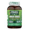 Wheat Grass - 500 Mg Cheap