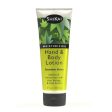 Cucumber Melon Hand & Body Lotion Online Hot Sale