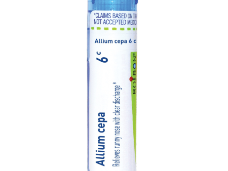 Allium cepa (6c) For Discount