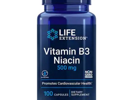 Vitamin B3 Niacin Online Hot Sale