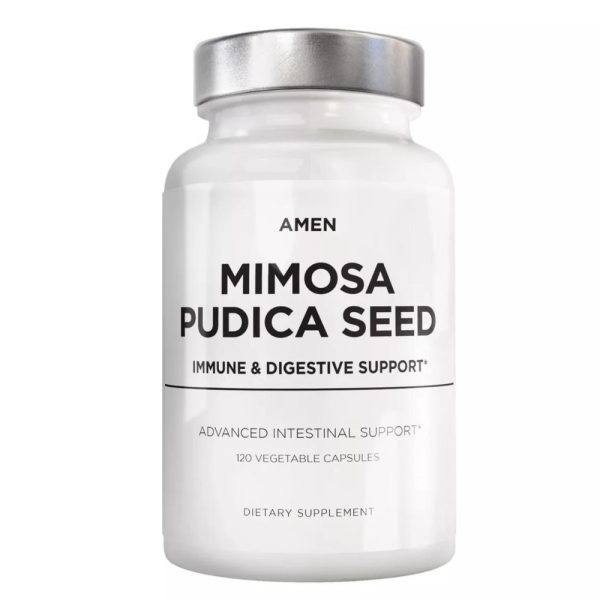 Amen Mimosa Pudica Seed Online