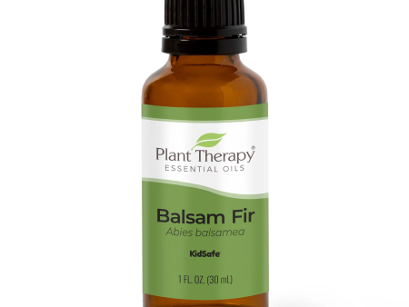 Balsam Fir Essential Oil For Cheap