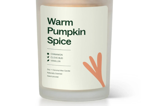 Plant Therapy brand Warm Pumpkin Spice Naturally Scented Candle Sale