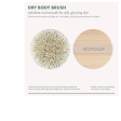 Dry Body Brush, Grey Discount