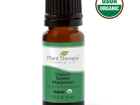 Organic Sweet Marjoram Essential Oil Online Hot Sale