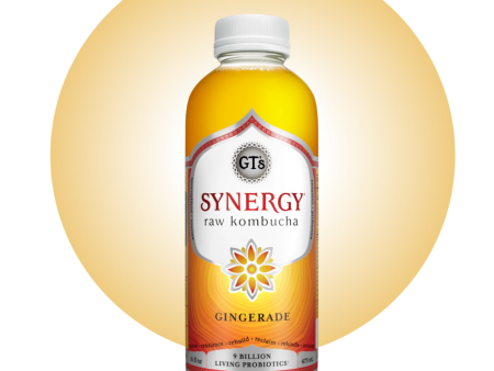 SYNERGY GINGERADE KOMBUCHA Online Hot Sale