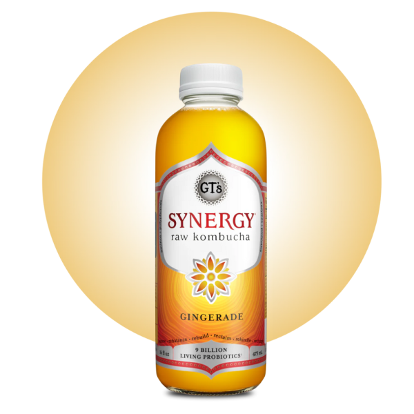 SYNERGY GINGERADE KOMBUCHA Online Hot Sale