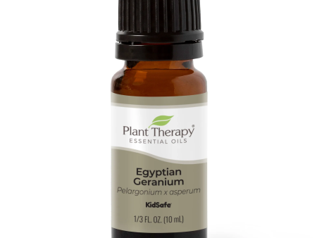 Egyptian Geranium Essential Oil Hot on Sale