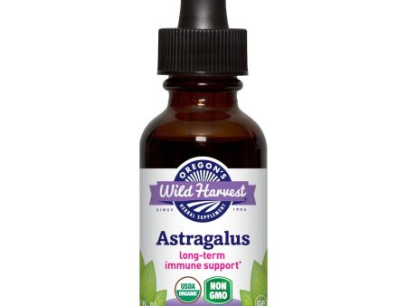 Astragalus, Organic Extract on Sale