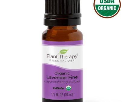 Organic Lavender Fine Essential Oil Fashion