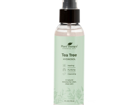 Tea Tree Hydrosol Online Hot Sale