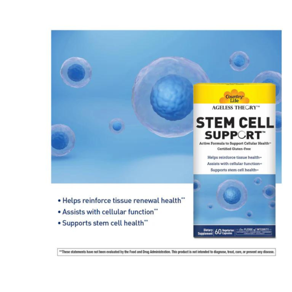 Ageless Theory Stem Cell Support Cheap