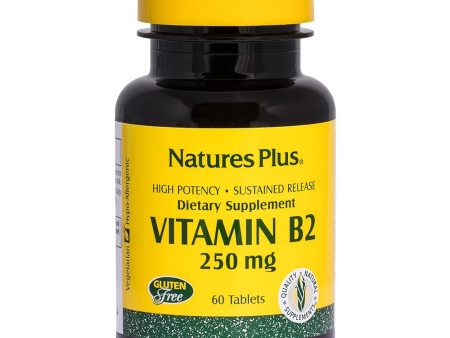 Vitamin B2 250 mg Sustained Release Tablets Online Hot Sale