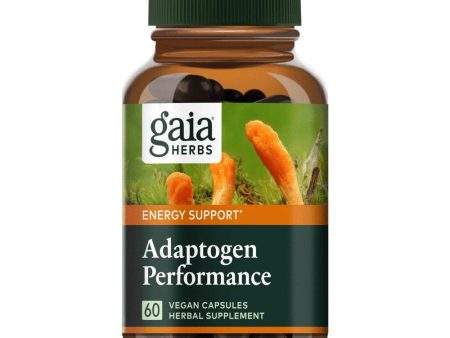 Adaptogen Performance Mushrooms & Herbs Hot on Sale