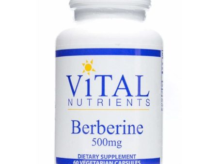 Berberine 500 mg Hot on Sale