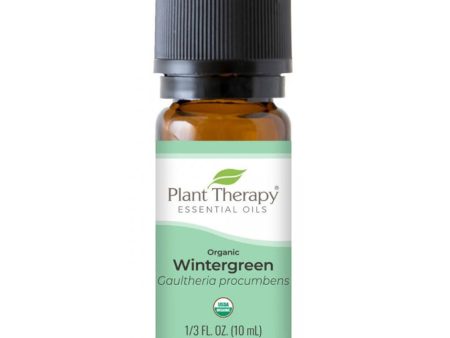 Wintergreen Essential Oil For Cheap